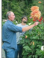 Students looking at flowers