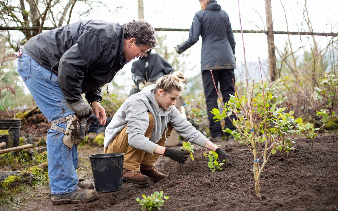 VIU landscape horticulture apprenticeship